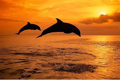 3A游戏成本过高 分析师担忧SIE十年最低利润率